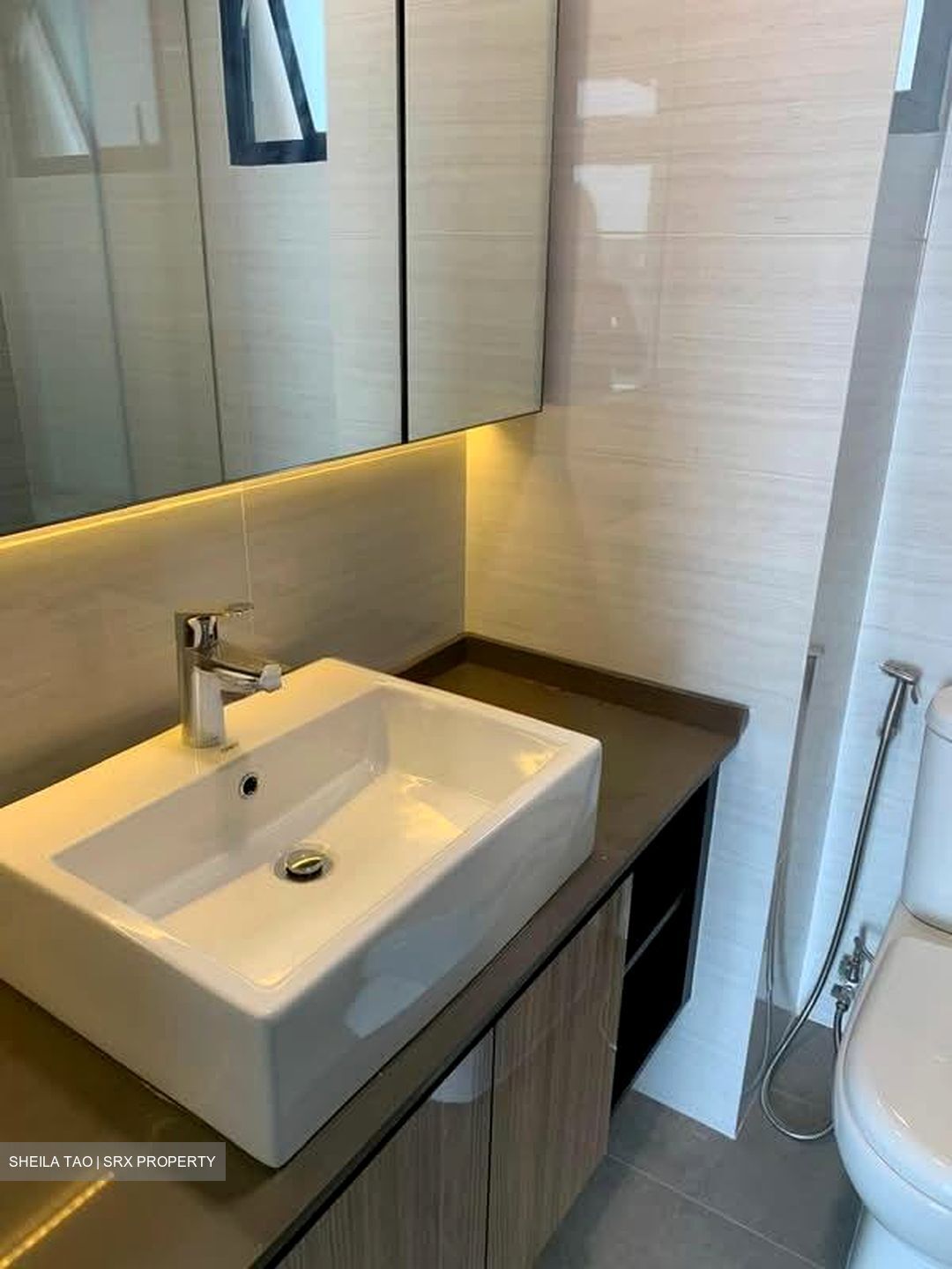 Nineteen Shelford Road (D11), Condominium #528067381